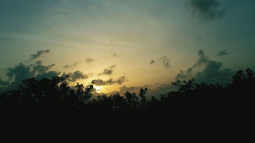 Silhouette trees against sky during sunset