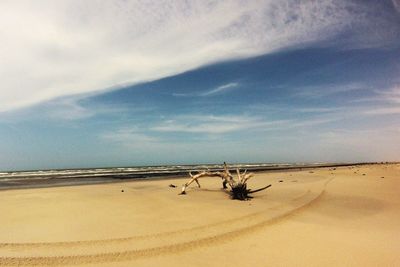 Scenic view of beach against sky