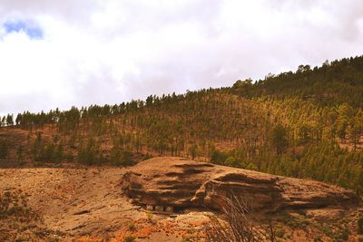 Scenic view of field against cloudy sky