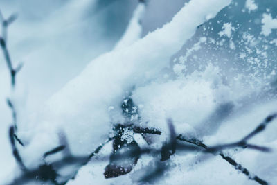 Close-up of snow against sky