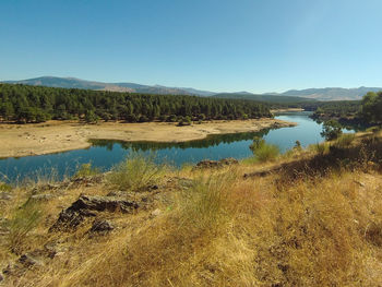 Scenic view of lake against clear blue sky