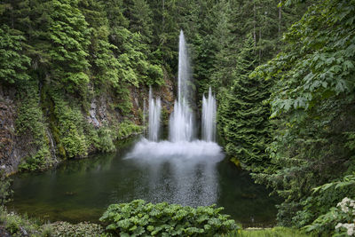 Scenic view of waterfall against trees