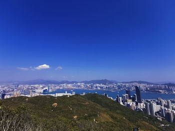 High angle view of city by sea against blue sky