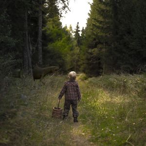 Rear view of child walking on footpath