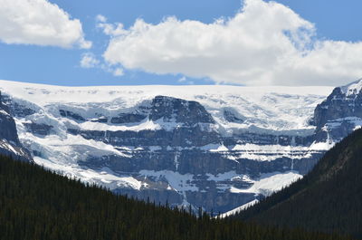 Idyllic shot of green trees and snowcapped mountain against sky