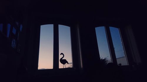 Low angle view of silhouette man against window