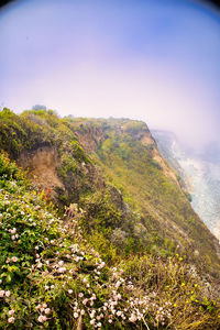 nature