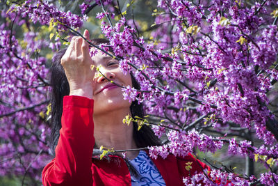 Close-up of pink flowers on tree