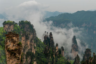 Panoramic view of trees and mountains against sky