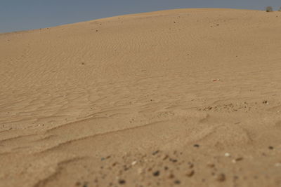 Sand dunes at beach against sky