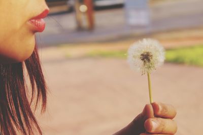 Close-up of cropped woman blowing dandelion