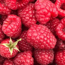 Full frame shot of raspberries for sale in market
