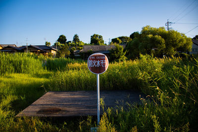 Road sign by plants against clear sky