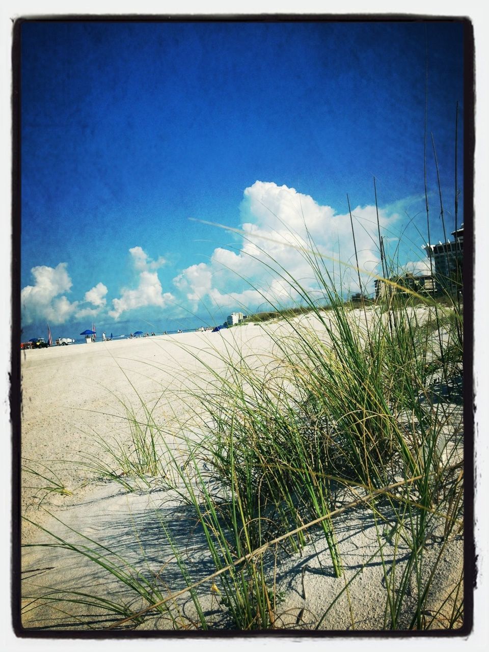 transfer print, auto post production filter, sky, blue, tranquility, tranquil scene, nature, scenics, beauty in nature, landscape, plant, cloud - sky, cloud, day, field, grass, outdoors, water, beach, sea