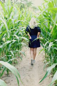 Rear view of woman walking in farm