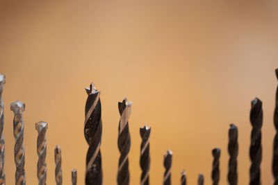 Close-up of birds against sky during sunset