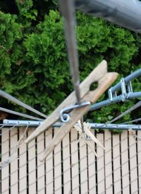 Close-up of metal fence against plants