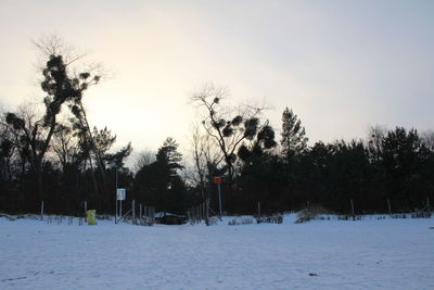 Trees on snow covered landscape against sky