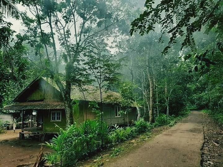 FOOTPATH AMIDST TREES AND HOUSES AGAINST SKY