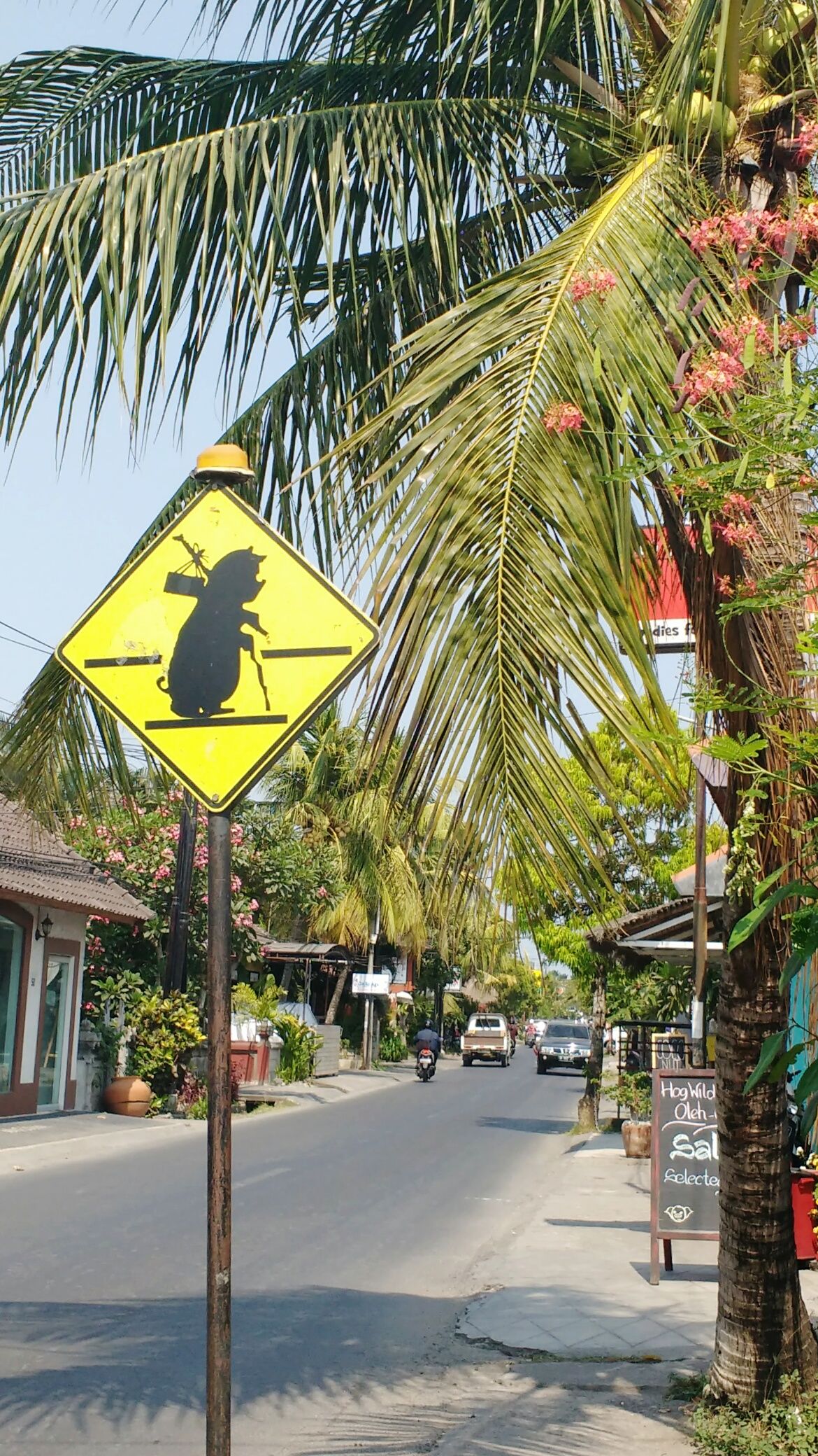 Road sign in bali