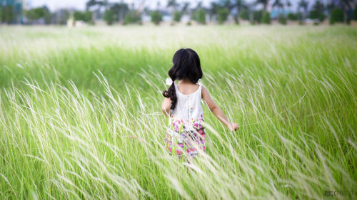 Rear view of girl standing on grass