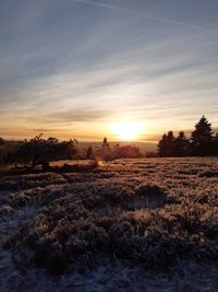 Scenic view of field against sky during sunset