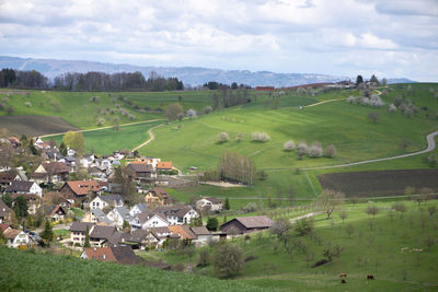 Scenic view of agricultural field against sky