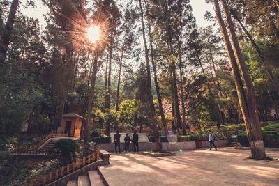 People on footpath amidst trees against sky on sunny day