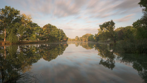 Reflection of trees in lake against sky