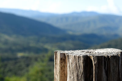 Close-up of wooden post on fence