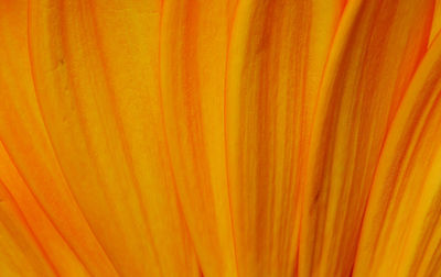 Full frame shot of orange background