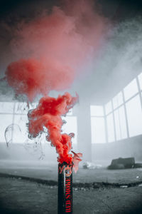 Smoke emitting from red flower