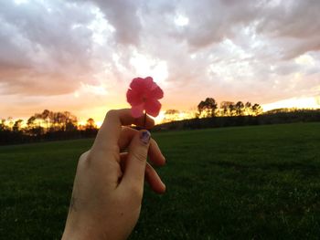 Close-up of woman hand holding flower on field against sky during sunset