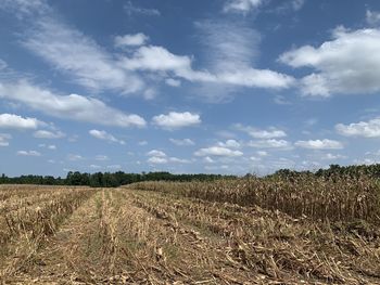 Scenic view of field against sky