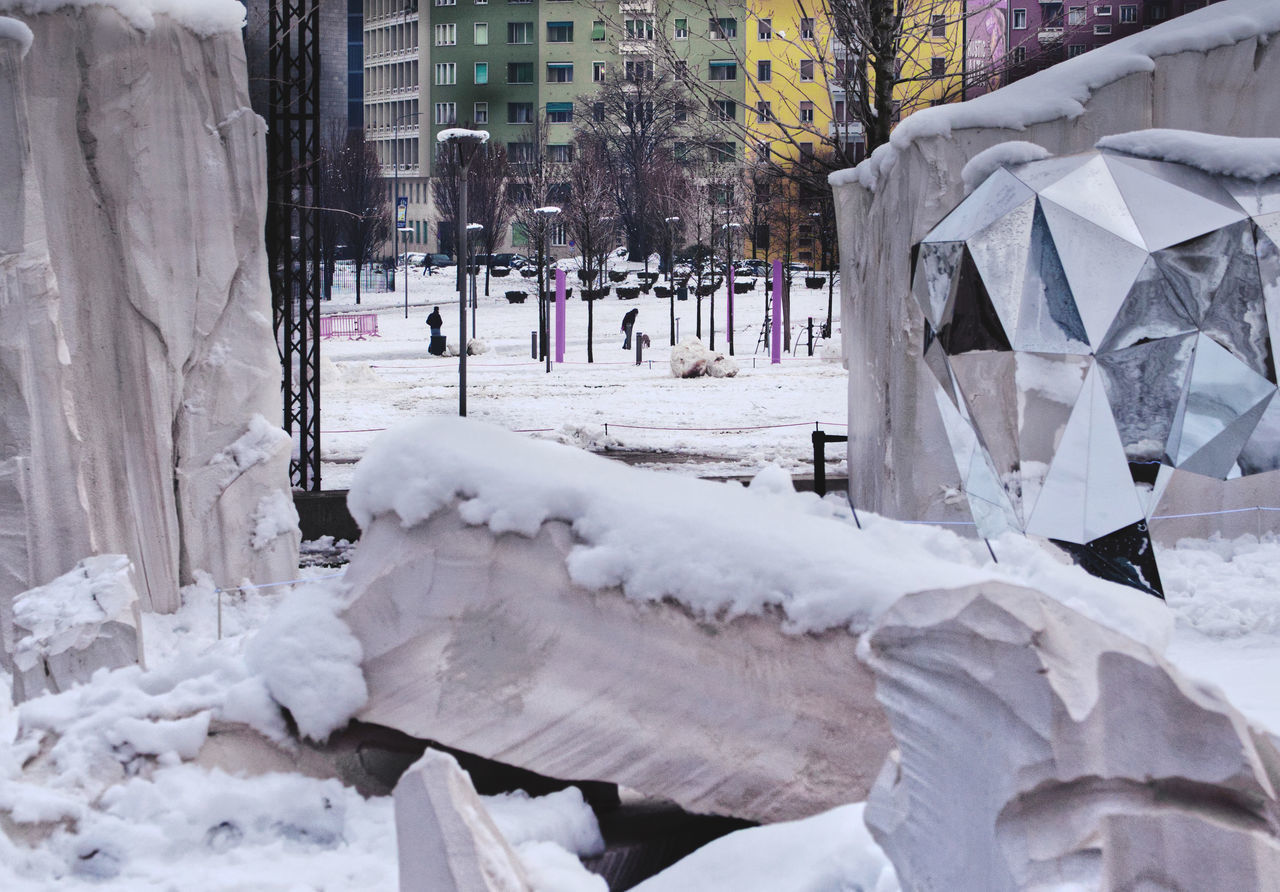 SNOW COVERED TREES BY BUILDING IN CITY