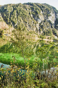 Scenic view of lake