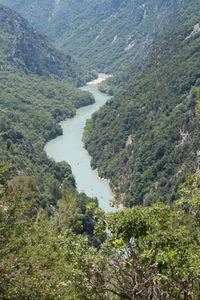High angle view of river amidst trees