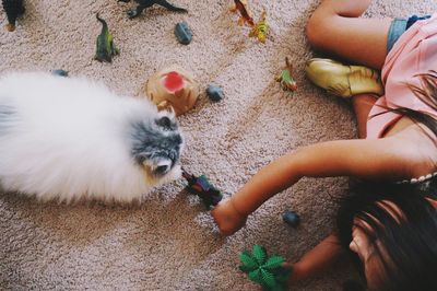 High angle view of girl playing with toys by cat on carpet