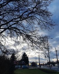 Trees in city against sky during sunset