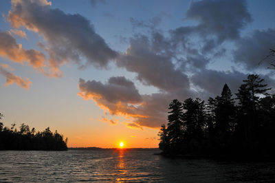 Scenic view of silhouette trees against sky during sunset