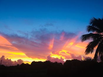 Silhouette trees against dramatic sky during sunset