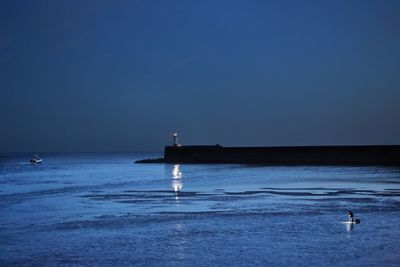 Seagull perching on sea against clear blue sky