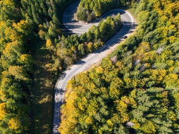 High angle view of road amidst trees in forest