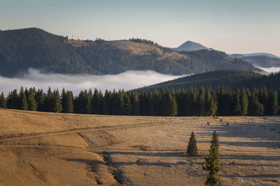 Scenic view of landscape against sky