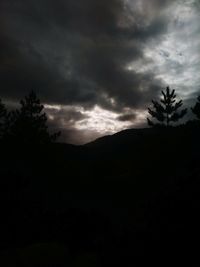 Silhouette trees against sky