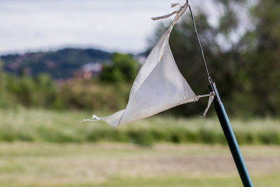 Close-up of a flag on a field