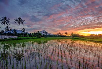 Scenic view of lake against sky during sunset