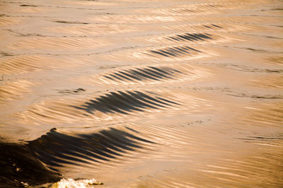 Full frame shot of sand dune