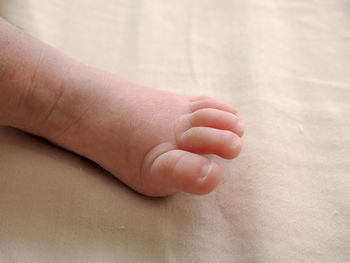 Close-up of hand holding baby feet