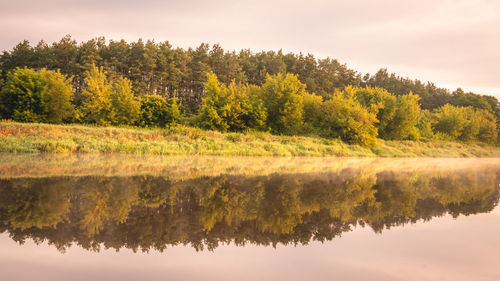 Scenic view of lake by trees against sky